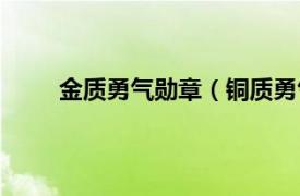 金质勇气勋章（铜质勇气勋章相关内容简介介绍）