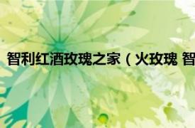 智利红酒玫瑰之家（火玫瑰 智利葡萄酒品牌相关内容简介介绍）