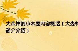 大森林的小木屋内容概括（大森林里的小木屋 世界儿童文学精选相关内容简介介绍）