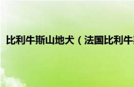 比利牛斯山地犬（法国比利牛斯山向导猎犬相关内容简介介绍）