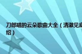 刀郎唱的云朵歌曲大全（清澈见底 刀郎、云朵演唱的歌曲相关内容简介介绍）