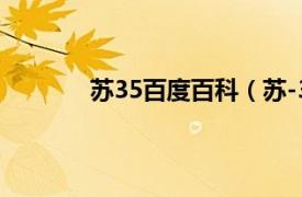 苏35百度百科（苏-35S相关内容简介介绍）