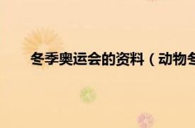 冬季奥运会的资料（动物冬季奥运会相关内容简介介绍）