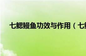 七鳃鳗鱼功效与作用（七鳃鳗 中药相关内容简介介绍）