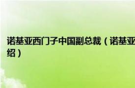 诺基亚西门子中国副总裁（诺基亚西门子通信技术有限公司相关内容简介介绍）