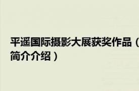 平遥国际摄影大展获奖作品（第13届平遥国际摄影大展相关内容简介介绍）