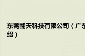 东莞翻天科技有限公司（广东翻天科技有限公司相关内容简介介绍）