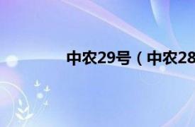 中农29号（中农28号相关内容简介介绍）