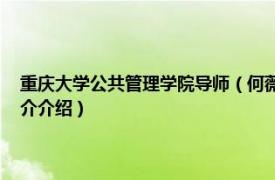 重庆大学公共管理学院导师（何薇 重庆大学公共管理学院讲师相关内容简介介绍）