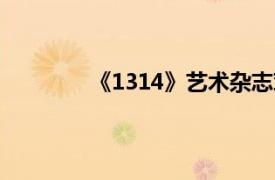 《1314》艺术杂志对话栏目相关内容介绍