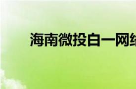 海南微投白一网络科技有限公司简介