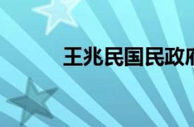 王兆民国民政府立法院议员简介