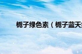 栀子绿色素（栀子蓝天然色素相关内容简介介绍）