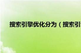 搜索引擎优化分为（搜索引擎排名优化相关内容简介介绍）