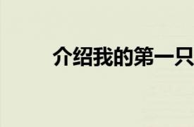 介绍我的第一只黑公鸡的相关内容