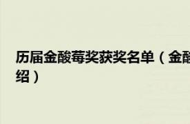 历届金酸莓奖获奖名单（金酸莓奖最差男主角奖相关内容简介介绍）