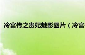 冷宫传之贵妃魅影图片（冷宫传之贵妃魅影相关内容简介介绍）