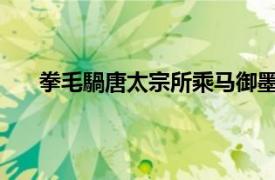 拳毛騧唐太宗所乘马御墨亲题其下相关内容简介介绍