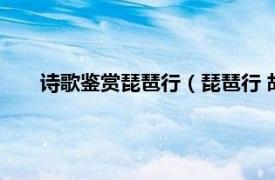 诗歌鉴赏琵琶行（琵琶行 胡应麟诗作相关内容简介介绍）