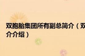 双胞胎集团所有副总简介（双胞胎 集团股份有限公司相关内容简介介绍）