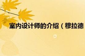 室内设计师的介绍（穆拉德 室内设计师相关内容简介介绍）