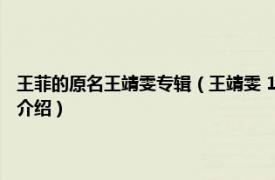 王菲的原名王靖雯专辑（王靖雯 1989年王菲发行的音乐专辑相关内容简介介绍）