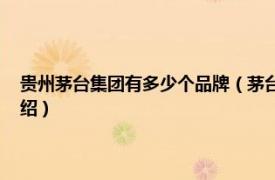 贵州茅台集团有多少个品牌（茅台 贵州茅台集团旗下品牌相关内容简介介绍）