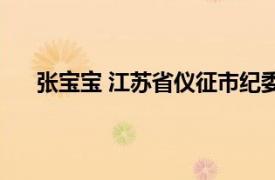 张宝宝 江苏省仪征市纪委监委干部相关内容简介介绍