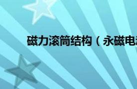 磁力滚筒结构（永磁电动滚筒相关内容简介介绍）