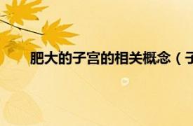 肥大的子宫的相关概念（子宫肥大症相关内容简介介绍）