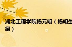 湖北工程学院杨元明（杨明生 湖北工程学院教授相关内容简介介绍）