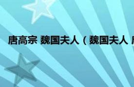 唐高宗 魏国夫人（魏国夫人 唐昭宗的妃子相关内容简介介绍）