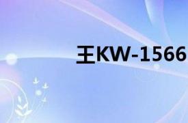 王KW-1566N相关内容介绍