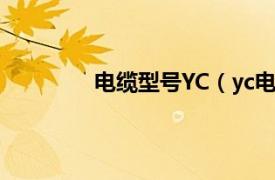 电缆型号YC（yc电缆相关内容简介介绍）