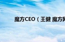 魔方CEO（王健 魔方网CEO相关内容简介介绍）