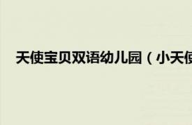 天使宝贝双语幼儿园（小天使双语幼儿园相关内容简介介绍）