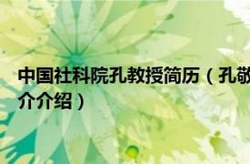 中国社科院孔教授简历（孔敬 中国社科院副研究馆员相关内容简介介绍）