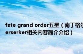 fate grand order五星（南丁格尔 游戏《Fate/Grand Order》中的5星Berserker相关内容简介介绍）