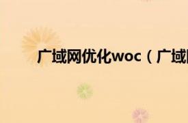 广域网优化woc（广域网优化相关内容简介介绍）