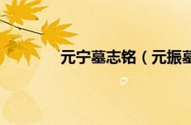 元宁墓志铭（元振墓志相关内容简介介绍）