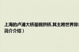 上海的卢浦大桥是钢拱桥,其主跨世界排名第一（卢浦大桥的10个“世界之最”相关内容简介介绍）