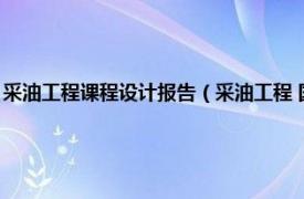 采油工程课程设计报告（采油工程 国家级一流本科课程相关内容简介介绍）