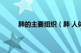 肺的主要组织（肺 人体器官相关内容简介介绍）