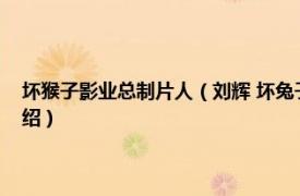 坏猴子影业总制片人（刘辉 坏兔子影业CEO出品人制片人相关内容简介介绍）