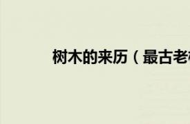 树木的来历（最古老树木相关内容简介介绍）