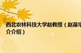 西北农林科技大学赵教授（赵葆华 西北农业科学研究所副所长相关内容简介介绍）