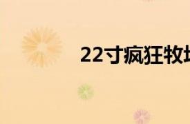 22寸疯狂牧场相关内容介绍