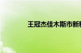 王冠杰佳木斯市新程铮艺术学校校长简介