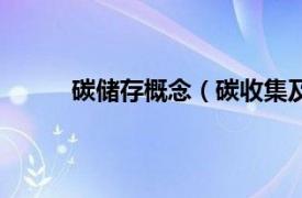 碳储存概念（碳收集及储存相关内容简介介绍）