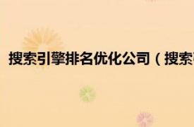 搜索引擎排名优化公司（搜索引擎排名优化相关内容简介介绍）